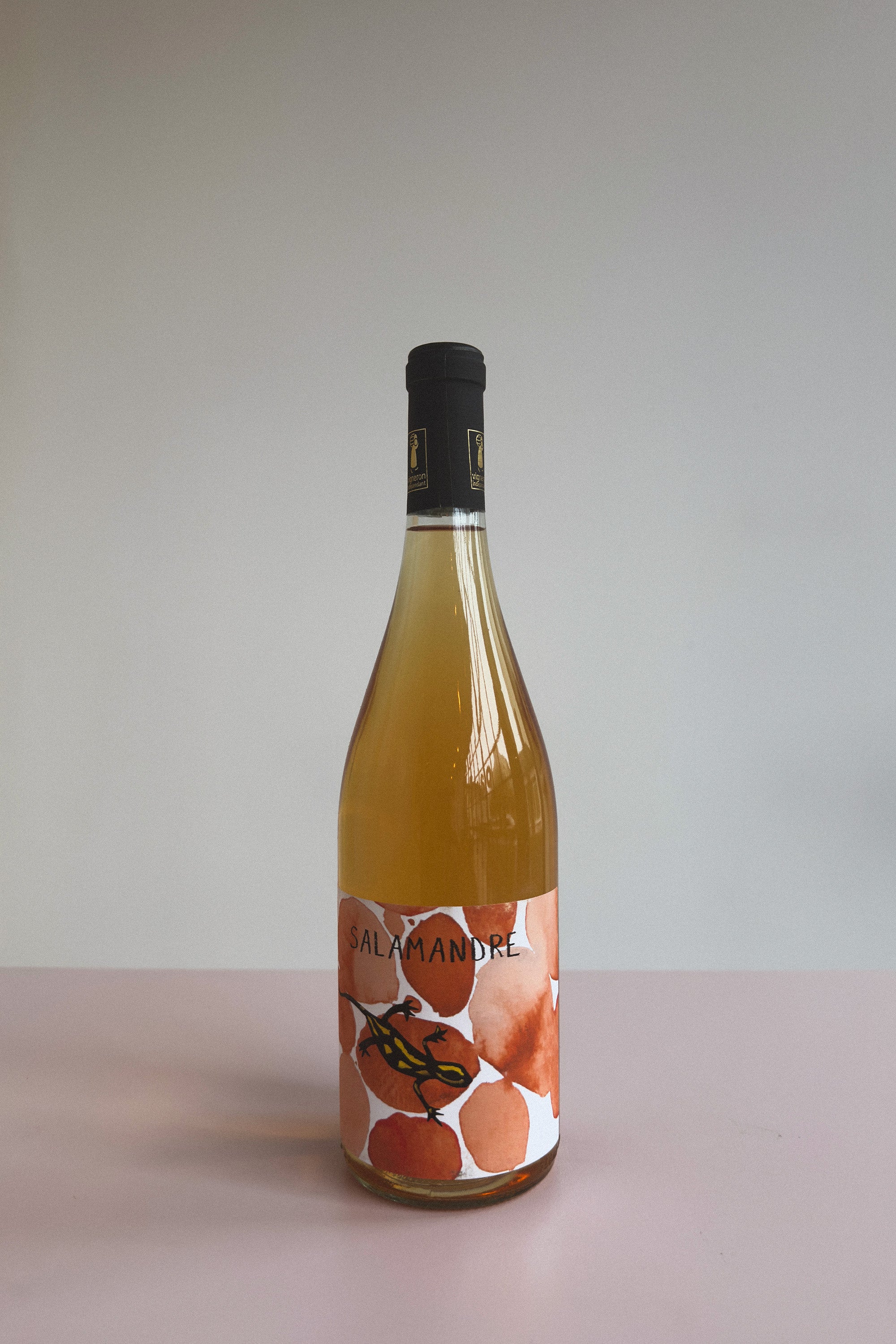 Salamandre Orange 2024